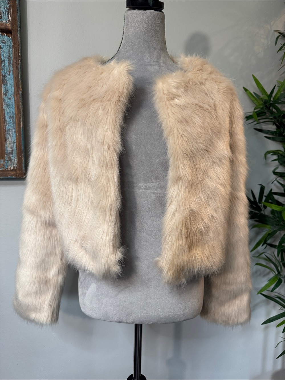 Fashion Nova Cream Faux Fur Cropped Jacket